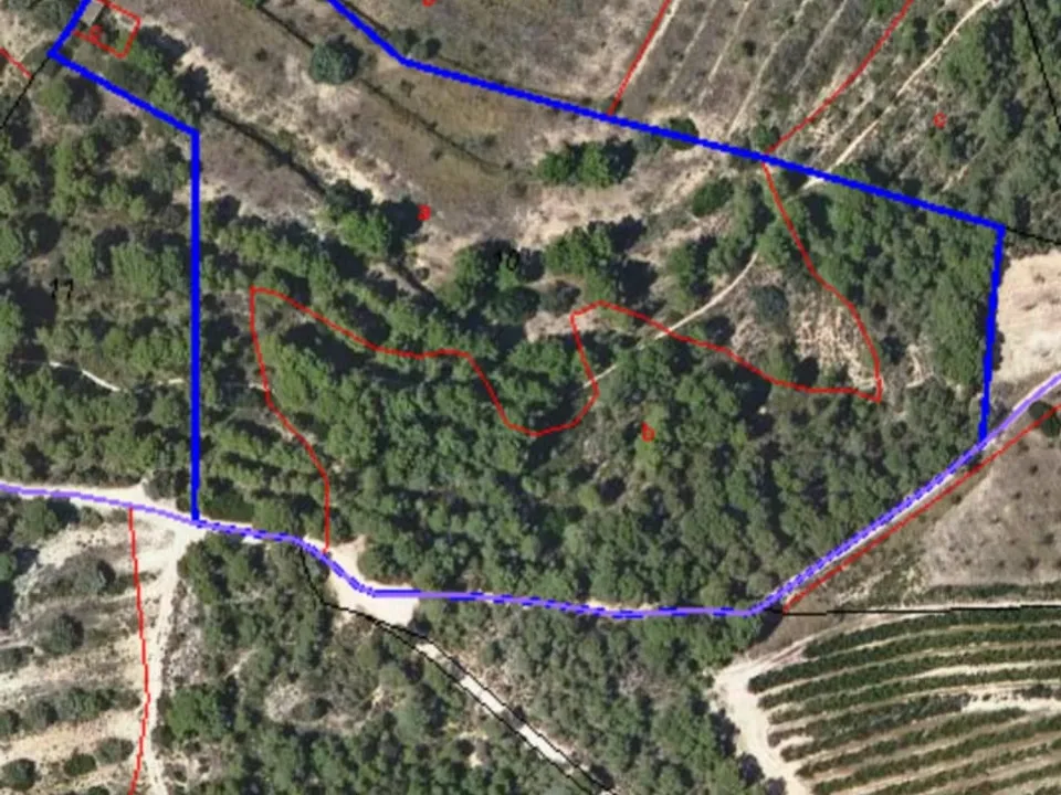 Finca i Mora D'ebre, Tarragona - foto 5